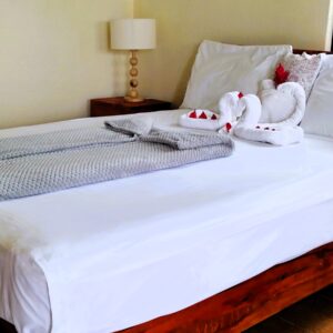 Queen suite room